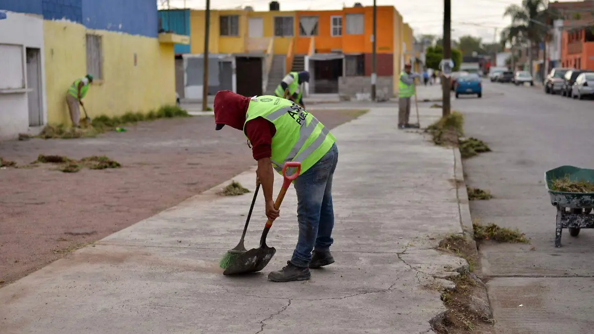 Programa verde ciudadano 1